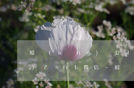 被網(wǎng)貸公司起訴凍結(jié)了銀行卡微信-被網(wǎng)貸公司起訴凍結(jié)了銀行卡微信還能用嗎