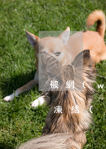 被網(wǎng)貸公司起訴會(huì)凍結(jié)銀行卡微信-被網(wǎng)貸公司起訴會(huì)凍結(jié)銀行卡微信嗎
