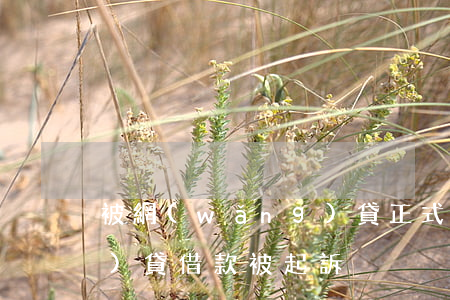 被網(wǎng)貸正式起訴(網(wǎng)貸借款被起訴)