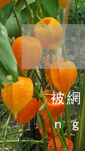 被網(wǎng)貸起訴一般多長(zhǎng)時(shí)間收到傳票-被網(wǎng)貸起訴一般多長(zhǎng)時(shí)間收到傳票信息