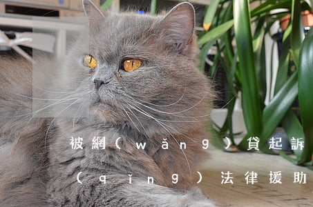 被網(wǎng)貸起訴了怎么辦怎么申請(qǐng)法律援助-被網(wǎng)貸起訴了怎么辦怎么申請(qǐng)法律援助呢