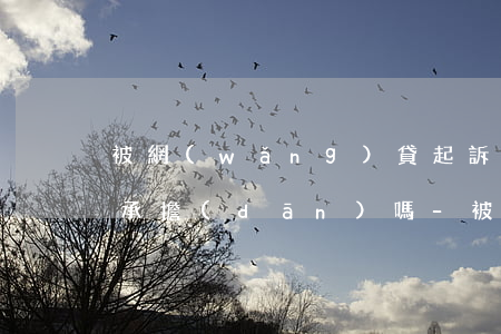 被網(wǎng)貸起訴了 所有費用由自己承擔(dān)嗎-被網(wǎng)貸起訴了 所有費用由自己承擔(dān)嗎怎么辦