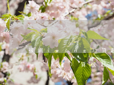 被網(wǎng)貸起訴了會限制出行(網(wǎng)貸被起訴后會被拘留嗎)