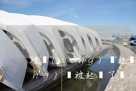 被網(wǎng)貸起訴了的信息(網(wǎng)貸被起訴了會(huì)收到短信嗎)