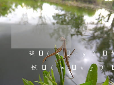 被網(wǎng)貸起訴了要走什么流程（都被網(wǎng)貸起訴了）