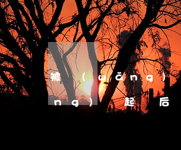 被網(wǎng)貸起訴交流吧(被網(wǎng)貸起訴后該怎么辦)
