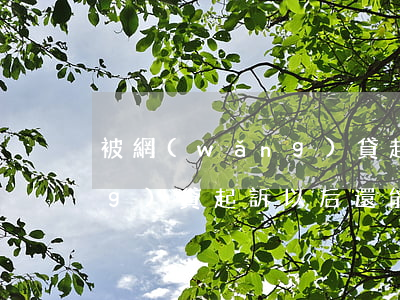 被網(wǎng)貸起訴以后(被網(wǎng)貸起訴以后還能貸款嗎)