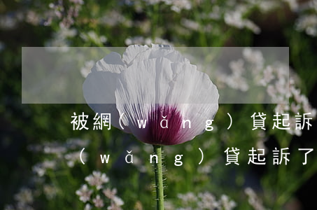 被網(wǎng)貸起訴后該怎么辦-被網(wǎng)貸起訴了要走什么流程
