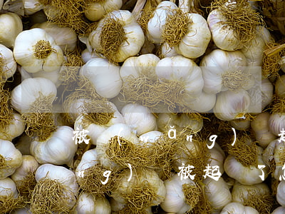 被網(wǎng)貸起訴在哪里查(網(wǎng)貸被起訴了怎么查詢)