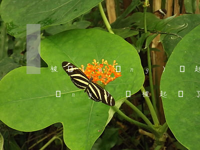 被網(wǎng)貸起訴坐牢的有嗎(網(wǎng)貸被起訴了會判刑嗎?)