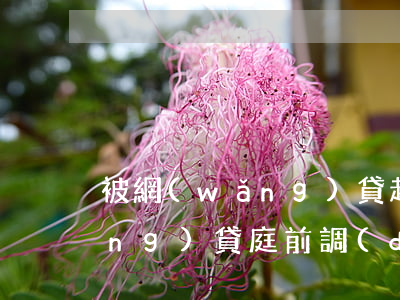 被網(wǎng)貸起訴庭外和解(網(wǎng)貸庭前調(diào)解能協(xié)商嗎)