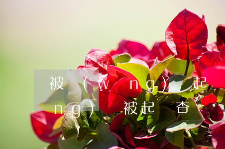 被網(wǎng)貸起訴怎么查詢（網(wǎng)貸被起訴查詢）