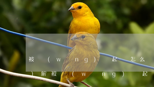 被網(wǎng)貸起訴怎么調(diào)解 被網(wǎng)貸起訴怎么調(diào)解最有效