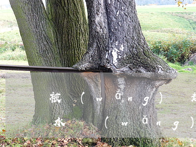被網(wǎng)貸起訴會(huì)查流水嗎(網(wǎng)貸被起訴會(huì)通知本人嗎)