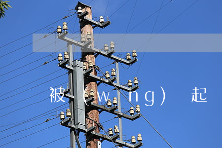 被網(wǎng)貸起訴會不會槍斃