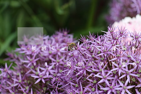 被網(wǎng)貸起訴會通知嗎(網(wǎng)貸被起訴了會收到短信嗎)