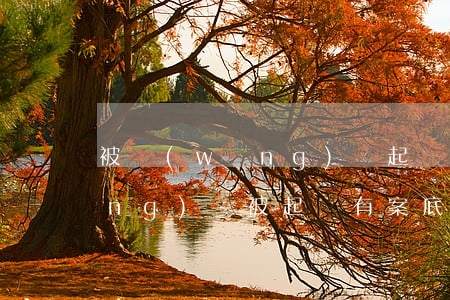被網(wǎng)貸起訴有案件號 網(wǎng)貸被起訴有案底嗎