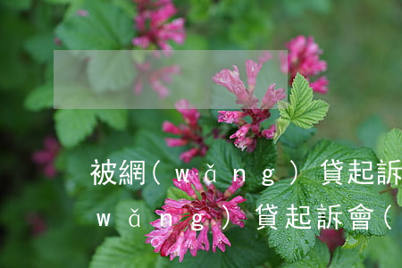 被網(wǎng)貸起訴有案底嗎-被網(wǎng)貸起訴會(huì)留案底嗎