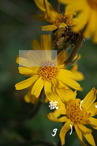 被網(wǎng)貸起訴查詢(被網(wǎng)貸起訴查詢不到信息)