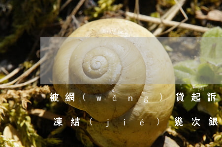 被網(wǎng)貸起訴法院會(huì)凍結(jié)幾次銀行卡-被網(wǎng)貸起訴法院會(huì)凍結(jié)幾次銀行卡嗎