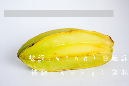 被網(wǎng)貸起訴經(jīng)歷（被網(wǎng)貸起訴經(jīng)歷）
