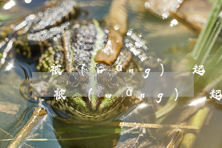 被網(wǎng)貸起訴經(jīng)歷(被網(wǎng)貸起訴經(jīng)歷有影響嗎)