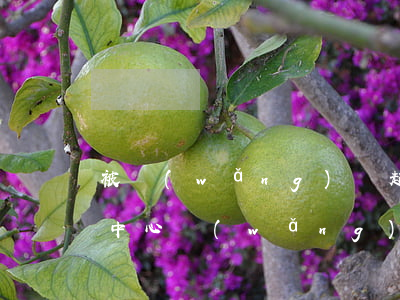 被網(wǎng)貸起訴調(diào)解中心(網(wǎng)貸法院調(diào)解)