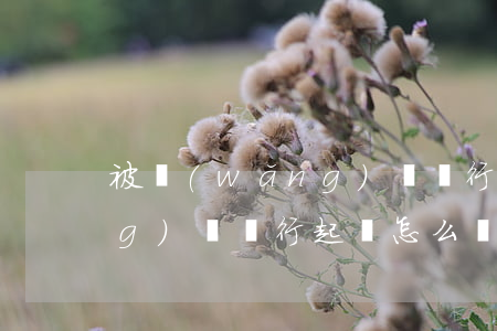 被網(wǎng)貸銀行起訴(被網(wǎng)貸銀行起訴怎么辦)