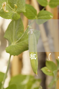 被網(wǎng)貸騙了錢怎么追回