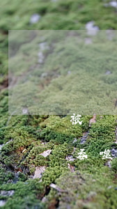 被網貸吞噬的年輕人兩年欠36萬-被網貸吞噬的年輕人兩年欠36萬正常嗎