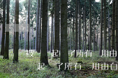 被網貸起訴了 所有費用由自己承擔嗎-被網貸起訴了 所有費用由自己承擔嗎怎么辦