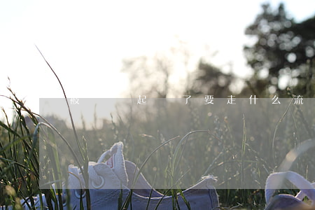 被網貸起訴了要走什么流程（都被網貸起訴了）