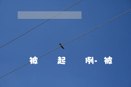 被網貸起訴實例-被網貸起訴實例有哪些