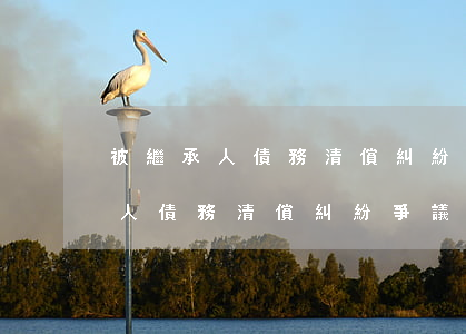 被繼承人債務清償糾紛律師哪個好-被繼承人債務清償糾紛爭議焦點