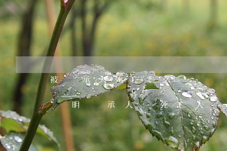 被繼承人死亡怎么開親屬關(guān)系證明(繼承人與死亡人員關(guān)系證明材料)
