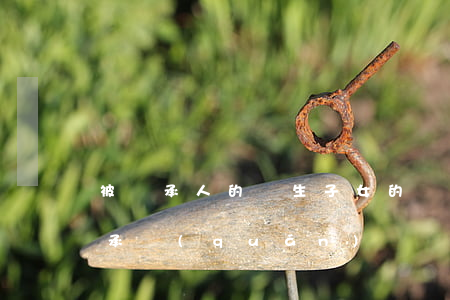 被繼承人的親生子女的繼子女是否有代位繼承權(quán)