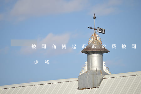 被网商贷起诉诉讼费(被网商贷起诉诉讼费多少钱)