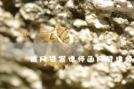 被网贷寄律师函(网贷律师事务所寄来律师函)