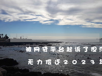 被网贷平台起诉了但没钱还怎么办-欠网贷无力偿还2023年新规出来了