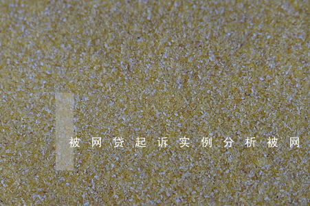 被网贷起诉实例分析（被网贷起诉实例）