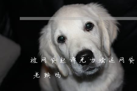 被网贷起诉无力偿还(网贷起诉无力偿还会成老赖吗)