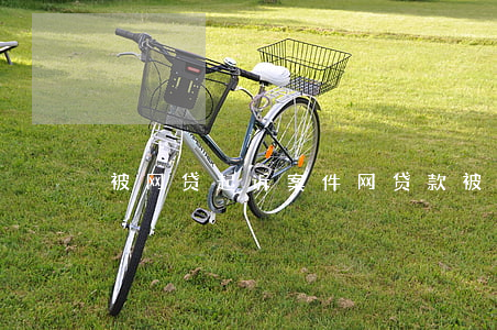 被网贷起诉案件(网贷款被起诉)