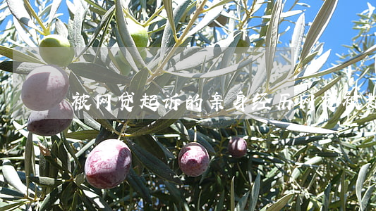被网贷起诉的亲身经历（网贷被起诉流程步骤）