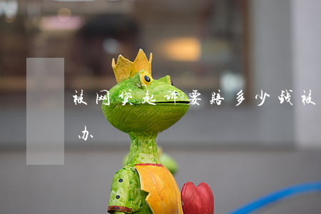 被网贷起诉要赔多少钱(被网贷起诉后该怎么办)