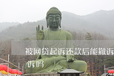 被网贷起诉还款后能撤诉么（被网贷起诉可反诉吗）