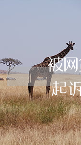 被网贷起诉需要准备什么材料应诉-被网贷起诉需要准备什么材料应诉案件