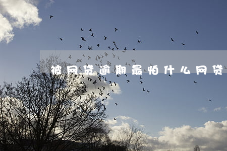 被网贷逾期最怕什么(网贷逾期中怎么自救)