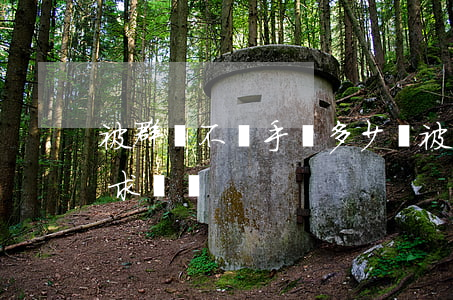 被群毆不還手賠多少錢(被3個人群毆怎么要求賠償)