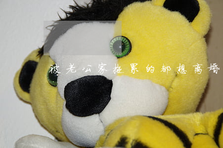 被老公家拖累的都想离婚了怎么办