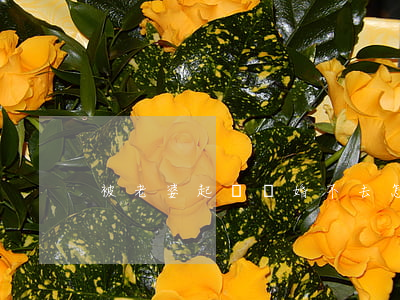 被老婆起訴離婚不去怎么辦